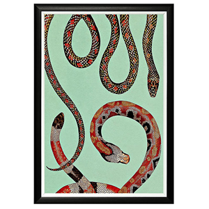 Категория товаров: Змея